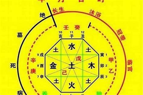 八字種|生辰八字算命、五行喜用神查詢（免費測算）